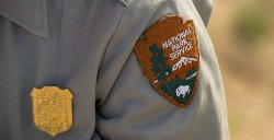 NPS badge/sleeve